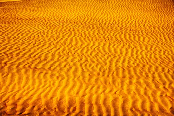 Tiro Quadro Completo Duna Areia Laranja Oman Esfregue Khali — Fotografia de Stock