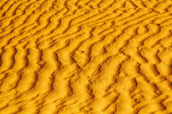 사막에 텍스처 웨이브 — 스톡 사진