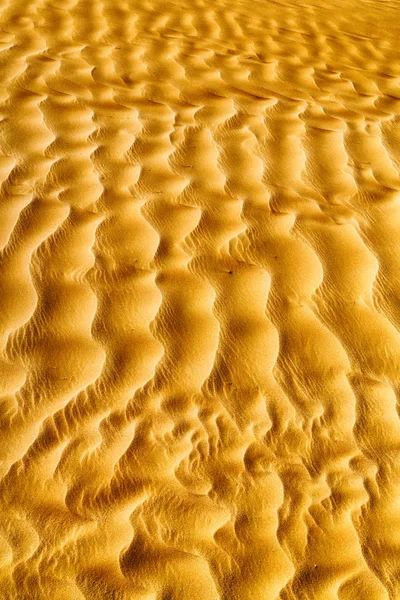 Abstract Texture Line Wave Oman Old Desert Empty Quarter — Stock Photo, Image