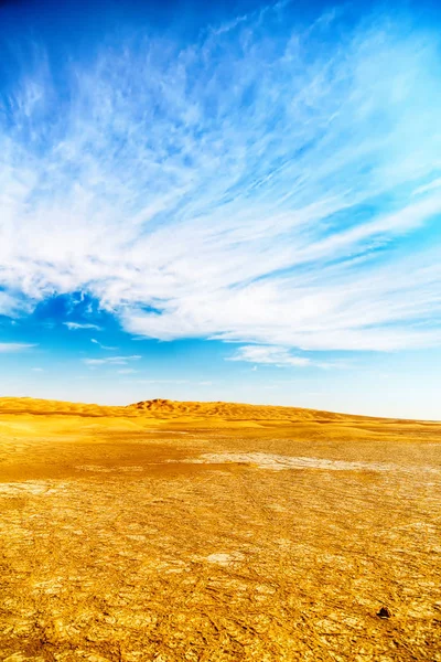 奥曼沙漠灌木丛中空旷的小区和室外的沙丘 — 图库照片
