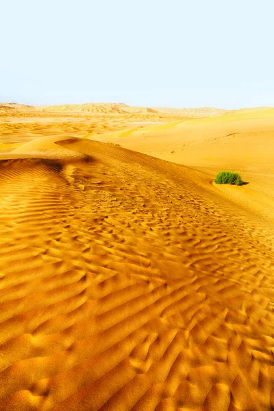 Пустой Квартал Открытая Дюна Песка Старой Пустыне Оман Руб Аль — стоковое фото