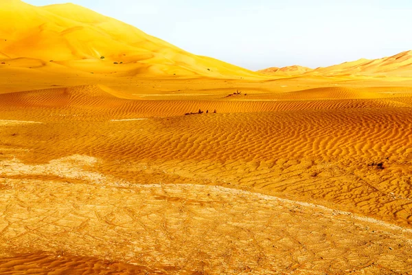 Άδειο Τρίμηνο Και Υπαίθρια Αμμόλοφος Στην Oman Παλιά Έρημο Rub — Φωτογραφία Αρχείου