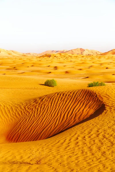 En oman viejo desierto frotar al khali el cuarto vacío y al aire libre —  Fotos de Stock