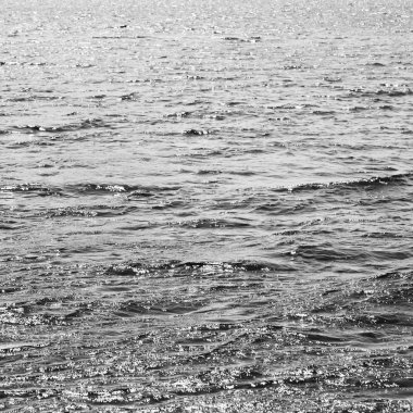 Pasifik Okyanusu arka plan bulanıklık 