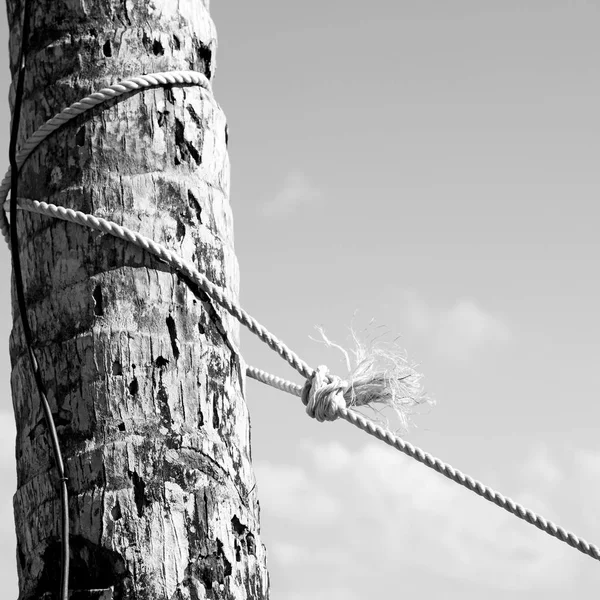 Una corda da un'amaca vicino alla riva dell'oceano — Foto Stock