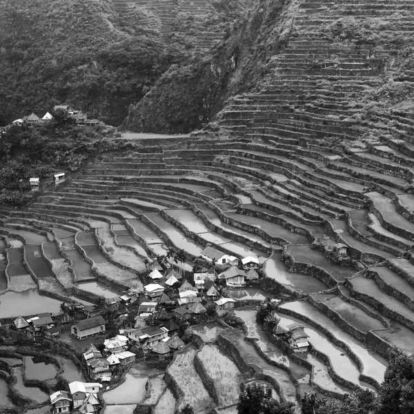 Campo de terraza para el coultivation de arroz — Foto de Stock