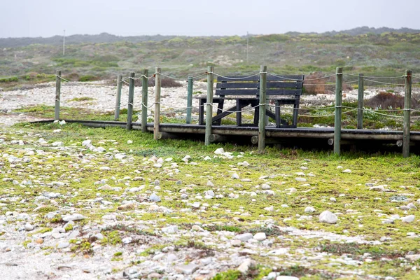 Na praia da áfrica do sul passarela perto do oceano indiano — Fotografia de Stock