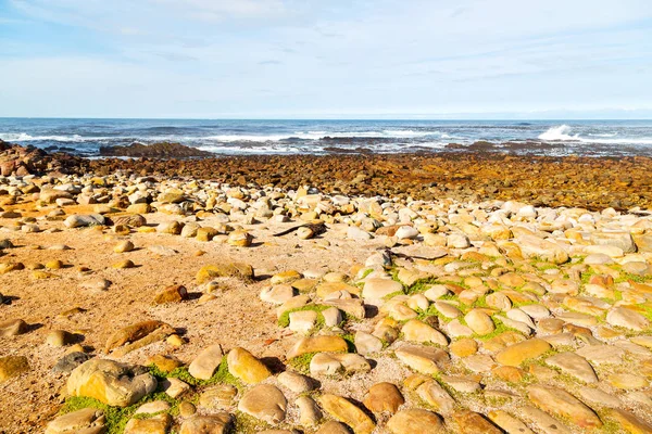 Na costa da África do Sul e reserva de parques naturais — Fotografia de Stock