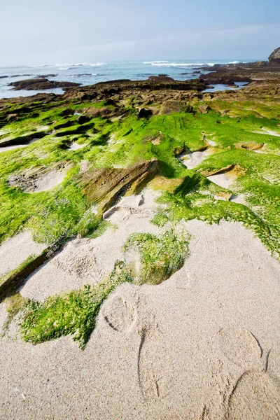 En Sudáfrica cielo reserva oceánica —  Fotos de Stock