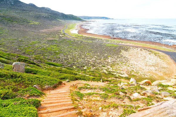 Na costa da África do Sul e reserva de parques naturais — Fotografia de Stock