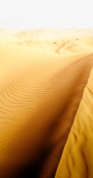 Ομάν παλιά της ερήμου rub al khali της άδειας συνοικίας και εξωτερική s — Φωτογραφία Αρχείου