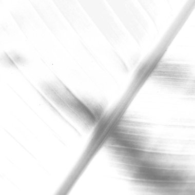 yaprak gibi arka plan kapat