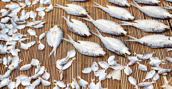 多くの魚の塩漬けし、市場のための準備を乾燥 — ストック写真