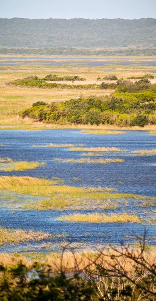 En Afrique du Sud étang lac réserve naturelle et buisson — Photo