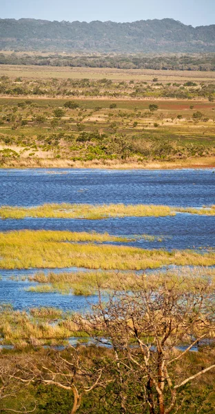 En Afrique du Sud étang lac réserve naturelle et buisson — Photo