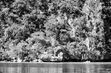  palm cliff beach ve rock bir tekneyle görüntülemek