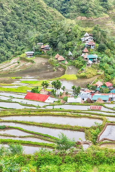 Campo de terraza para el coultivation de arroz —  Fotos de Stock