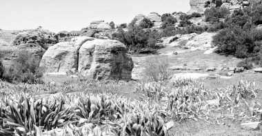 doğal vahşi yaşam Vadisi doğal rezerv