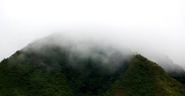   coultivation pirinç Teras alanı   