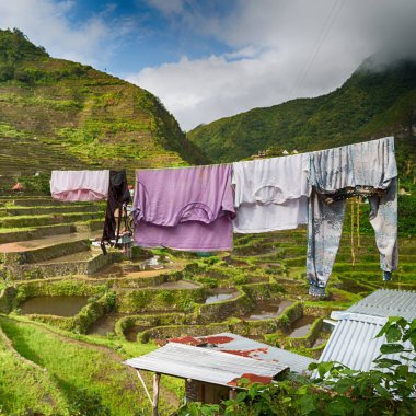   coultivation pirinç Teras alanı   