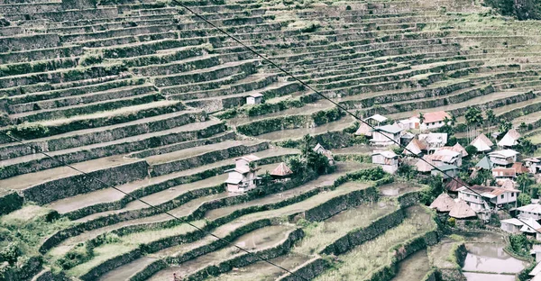 Campo terrazza per la coltivazione del riso — Foto Stock