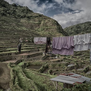   coultivation pirinç Teras alanı   