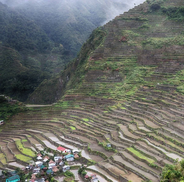 Campo de terraço para coultivação de arroz — Fotografia de Stock