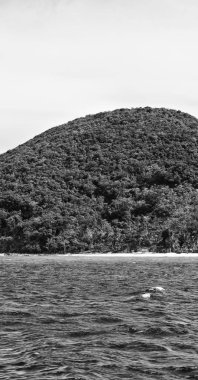 bir tekne güzellikler kıyı şeridi deniz ve rock 