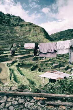  coultivation pirinç Teras alanı   