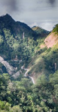   coultivation pirinç Teras alanı   