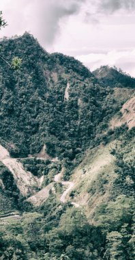   coultivation pirinç Teras alanı   