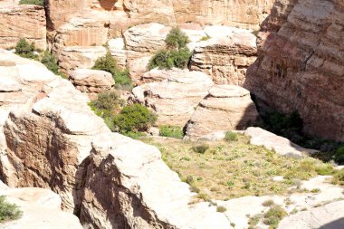 doğal vahşi yaşam Vadisi doğal rezerv