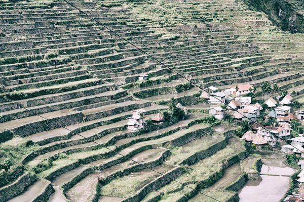 Терасове поле для коволікання рису — стокове фото