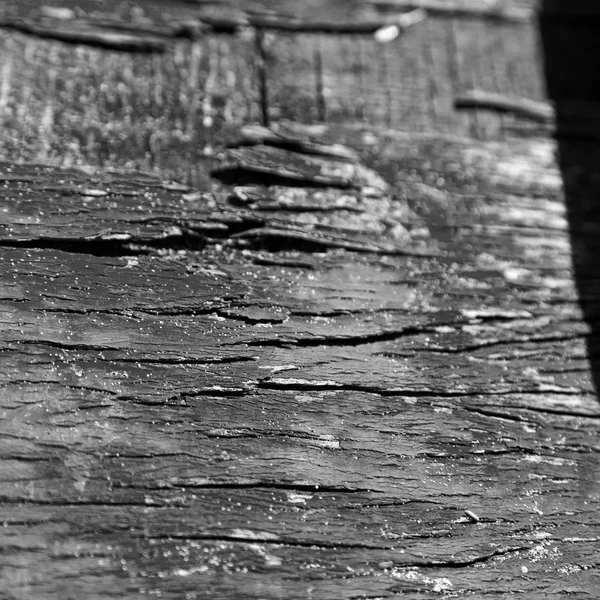 Текстура куска расписного дерева — стоковое фото