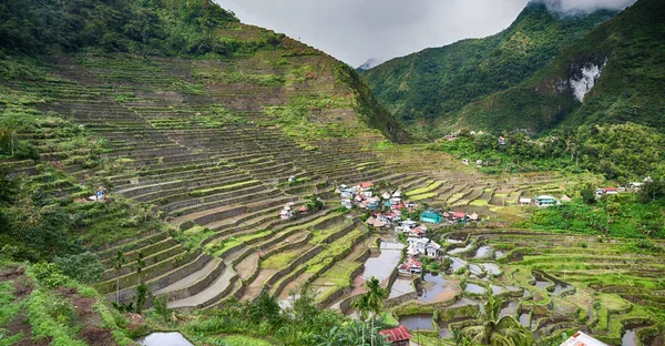 Campo de terraço para coultivação de arroz — Fotografia de Stock