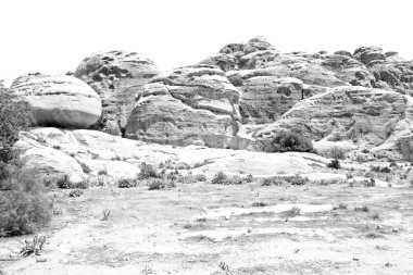 doğal vahşi yaşam Vadisi doğal rezerv