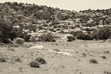 doğal vahşi yaşam Vadisi doğal rezerv