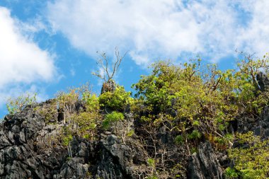  palm cliff beach ve rock bir tekneyle görüntülemek