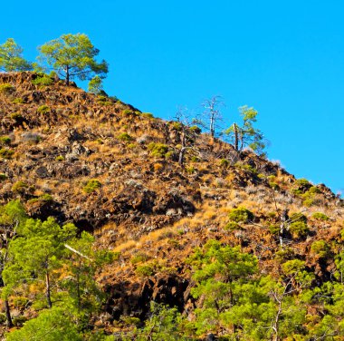  Anadolu Asya Türkiye termessos eski mimari ve doğa Tepesi'nden 