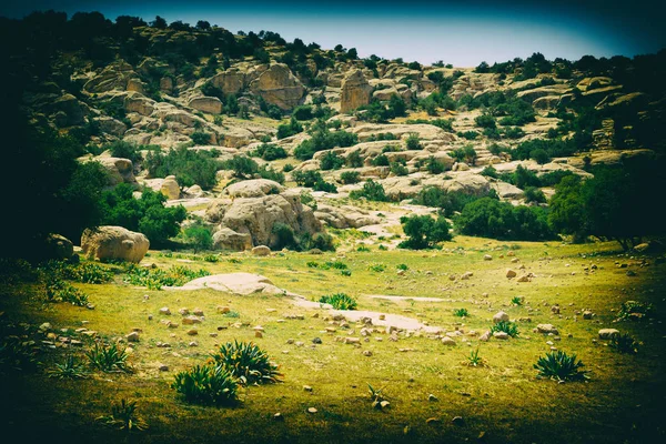 En la pintoresca reserva natural del valle de la fauna — Foto de Stock