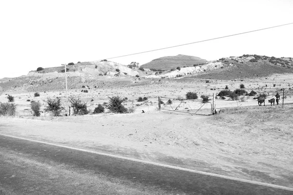 In Sudafrica terra cespuglio e albero — Foto Stock