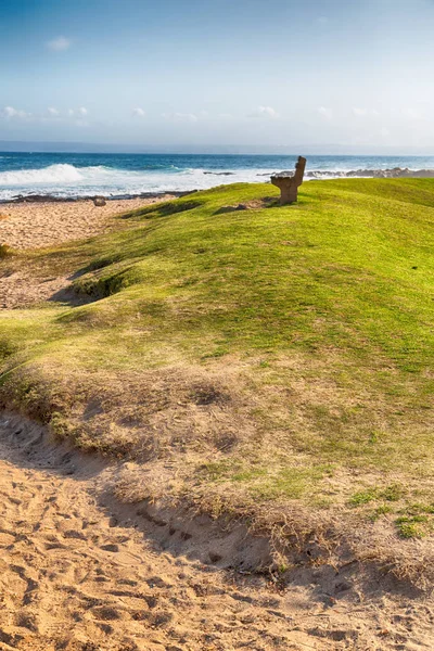 In south africa    sky  ocean       reserve — Stock Photo, Image