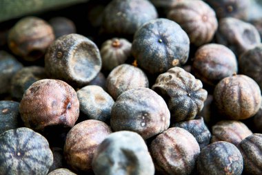 İran'da soyut desen arka plan lezzet ve aroma tipik kuru limon bulanıklık