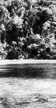 bir tekne güzellikler kıyı şeridi deniz ve rock 