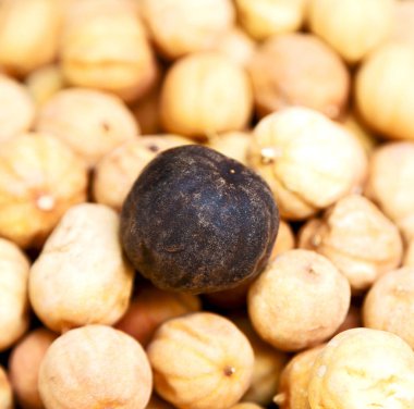  soyut desen kuru limon 