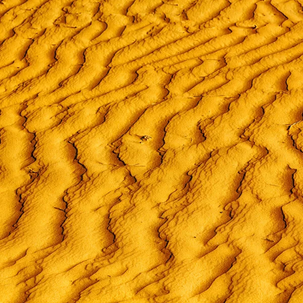 Umman eski çöl ve boş çeyrek soyut doku l