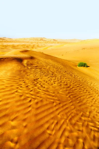 Nel vecchio deserto di oman — Foto Stock