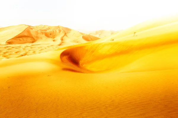 Em oman velho deserto esfregar al khali o quarto vazio e ao ar livre — Fotografia de Stock