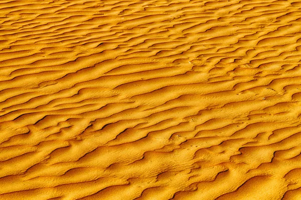 In oman the old desert and the empty quarter abstract  texture l Royalty Free Stock Photos
