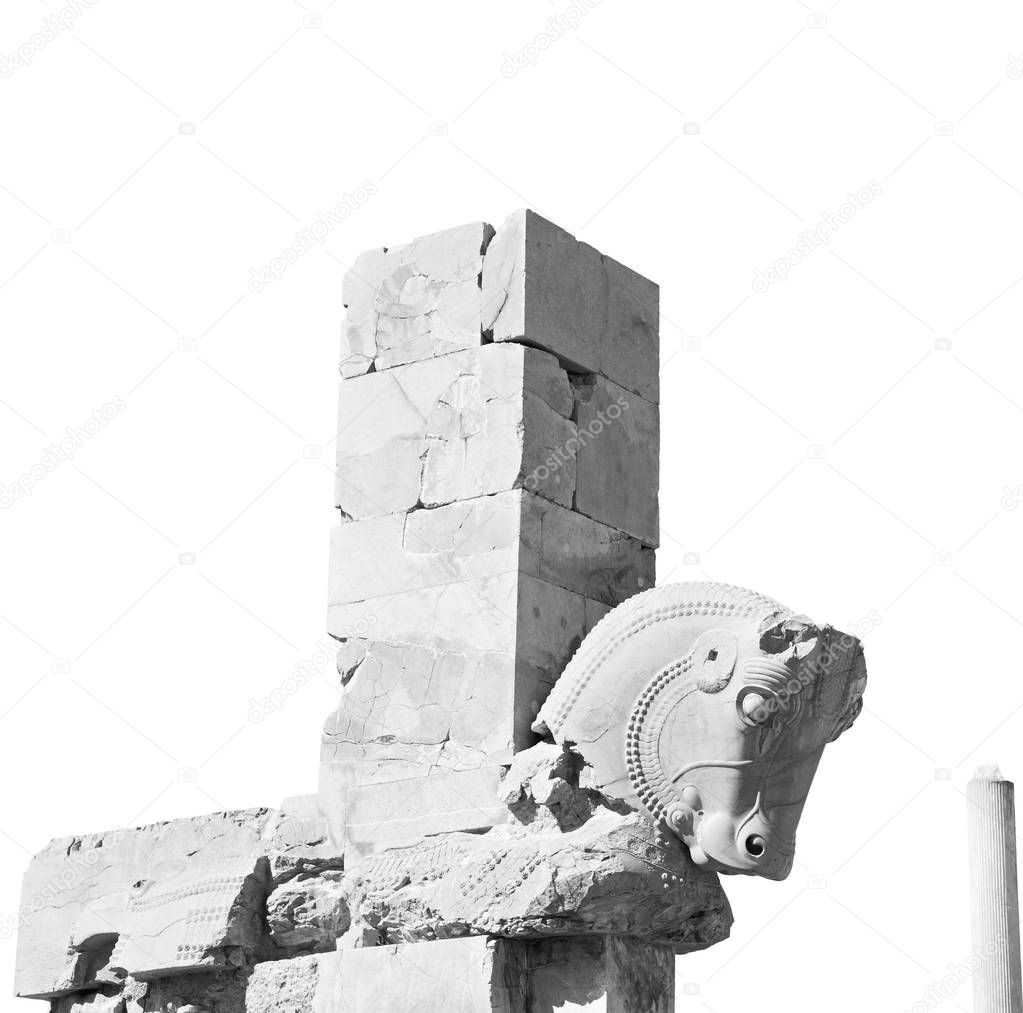 in iran   persepolis  